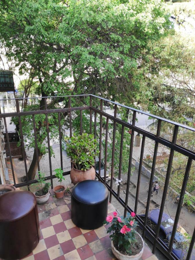 Amoun Hostel 第比利斯 外观 照片